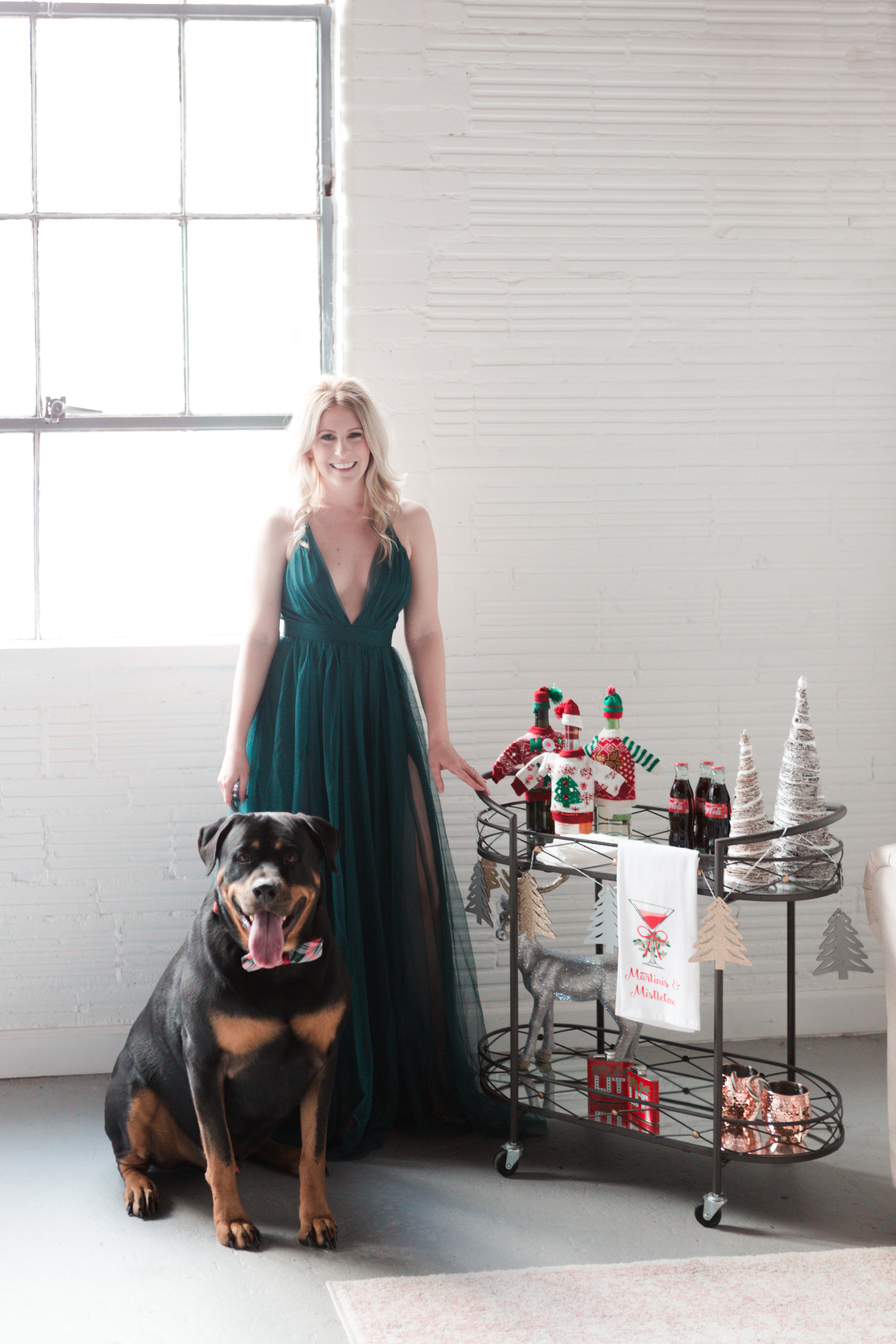 lifestyle blogger, fashion blogger, houston blogger, dog mom, gracefully sassy